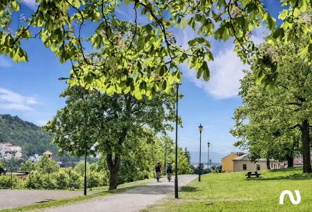 Nygårdslunden — illustration 4